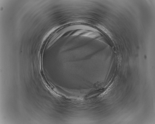 X0000070351127200606301759