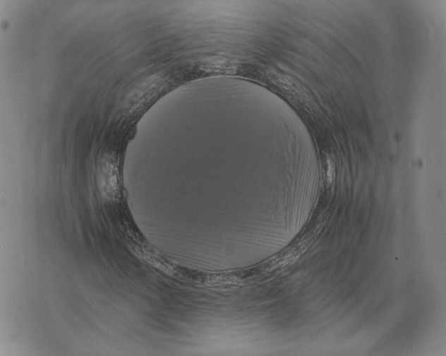 X0000070351154200606301758