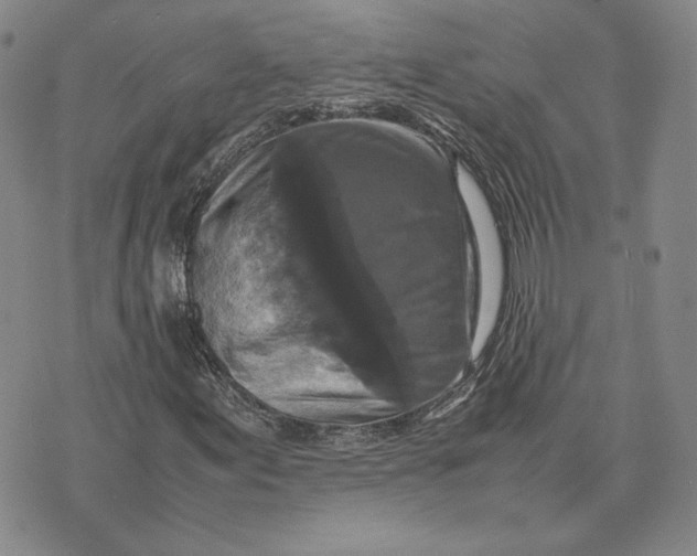 X0000070351155200606301758