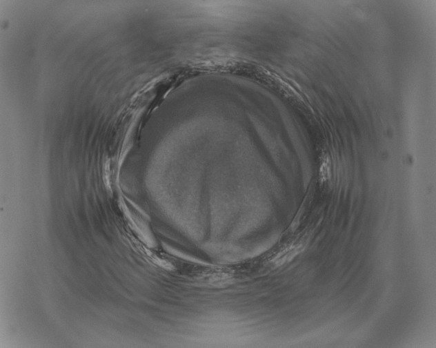 X0000070351156200606301758