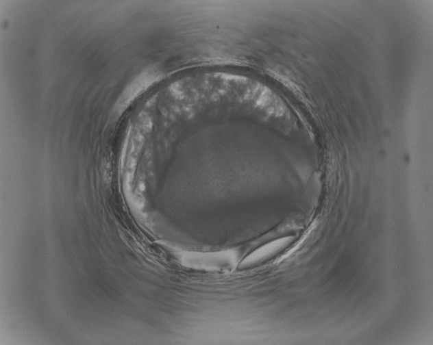 X0000070351163200606301758