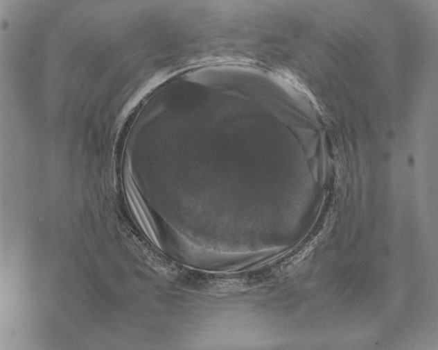 X0000070351173200606301758