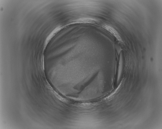 X0000070351180200606301758