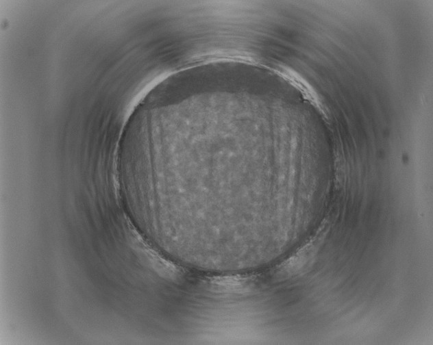 X0000070351182200606301758
