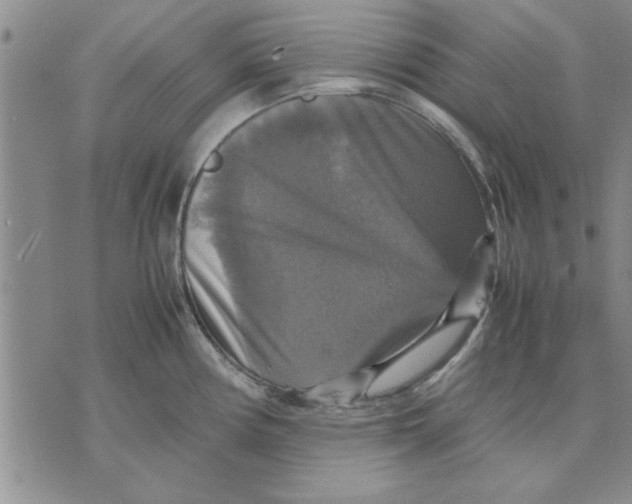 X0000070351194200606301758