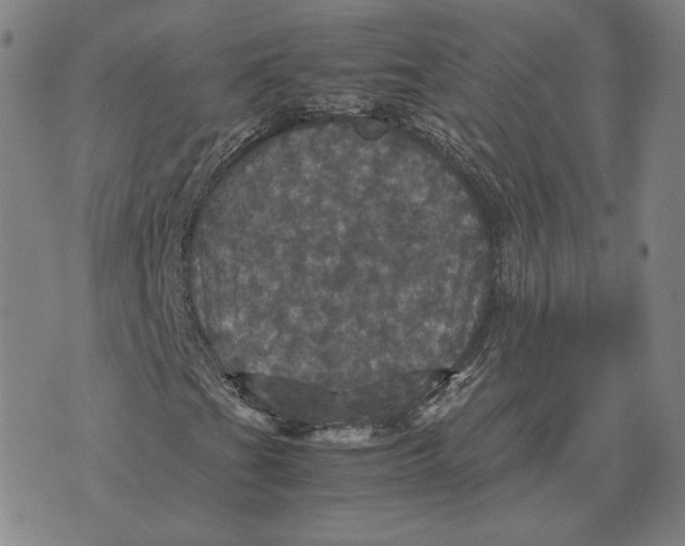 X0000070351201200606301757