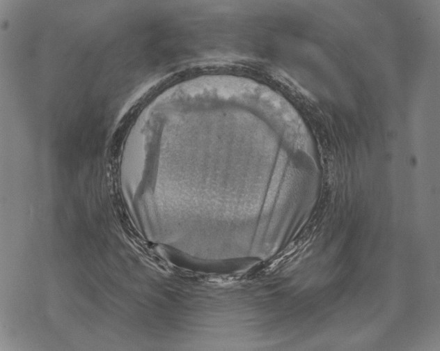 X0000070351208200606301757