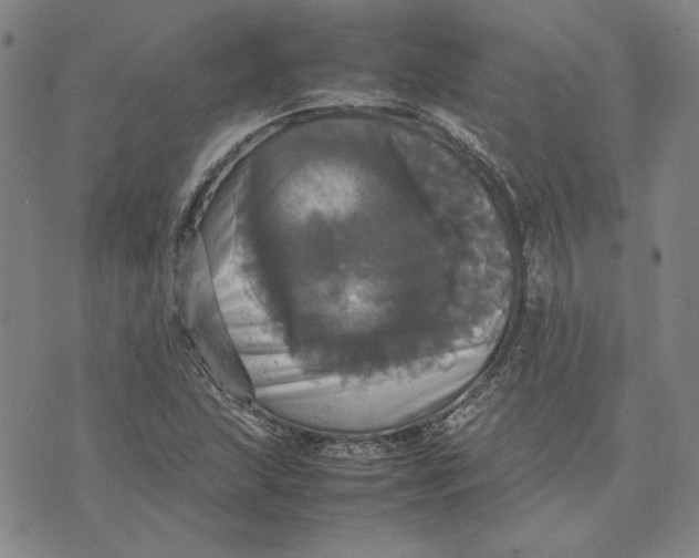 X0000070351215200606301757