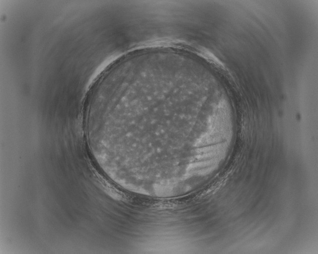 X0000070351216200606301757