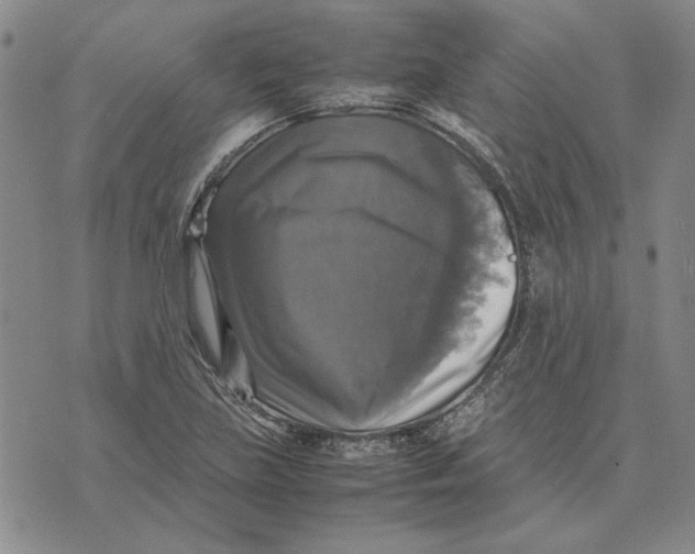 X0000070351219200606301757