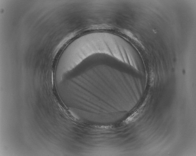 X0000070351221200606301757
