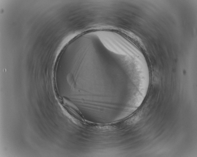 X0000070351231200606301757