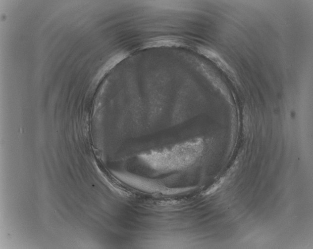 X0000070351233200606301757