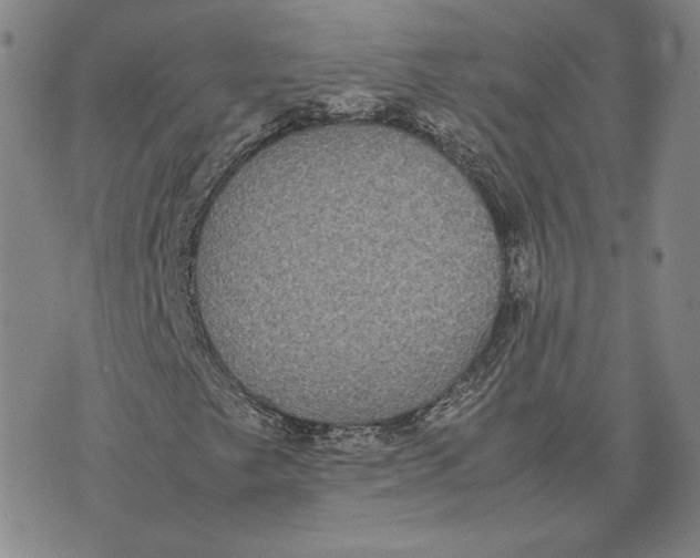 X0000070351249200606301757