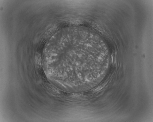 X0000070351251200606301757