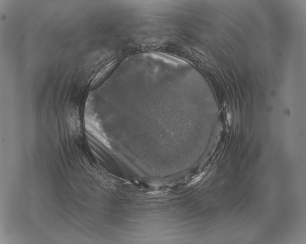 X0000070351252200606301757