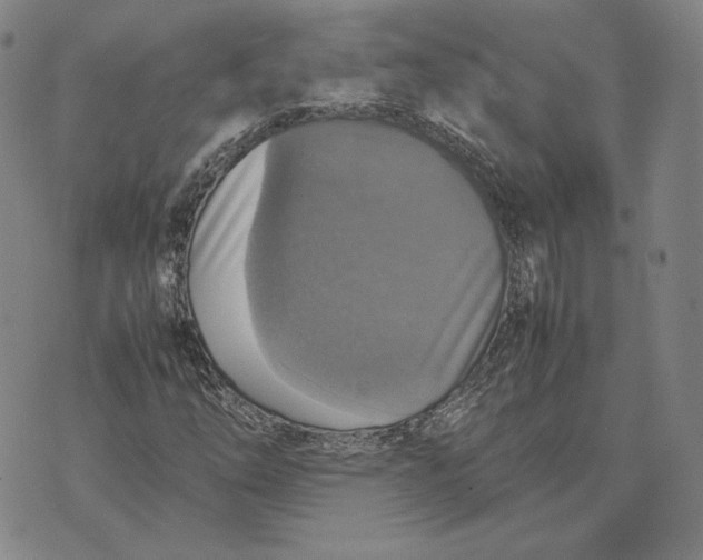X0000070351254200606301757