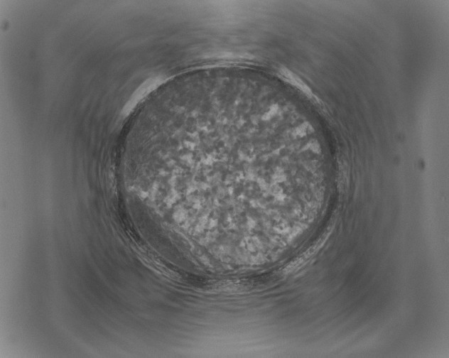 X0000070351259200606301757
