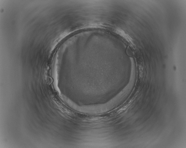 X0000070351260200606301757