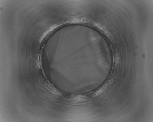 X0000070351262200606301757