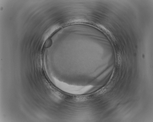 X0000070351274200606301756