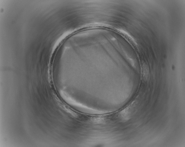 X0000070351278200606301756