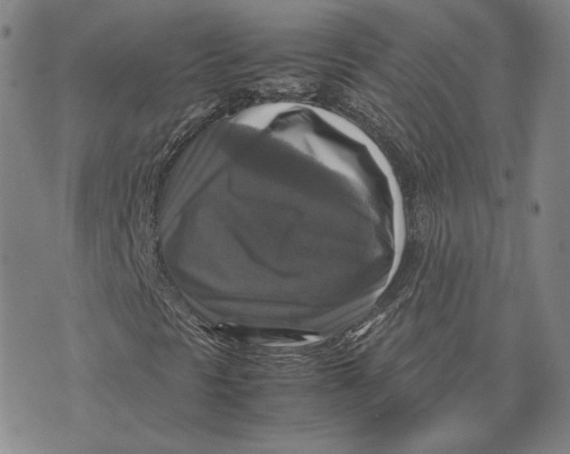 X0000070351297200606301755