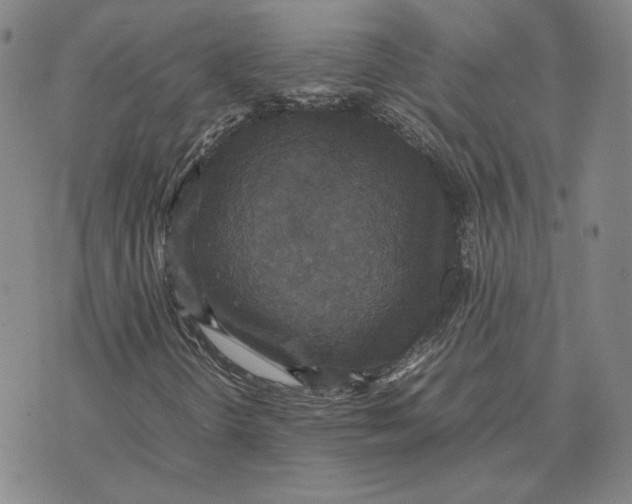 X0000070351298200606301755