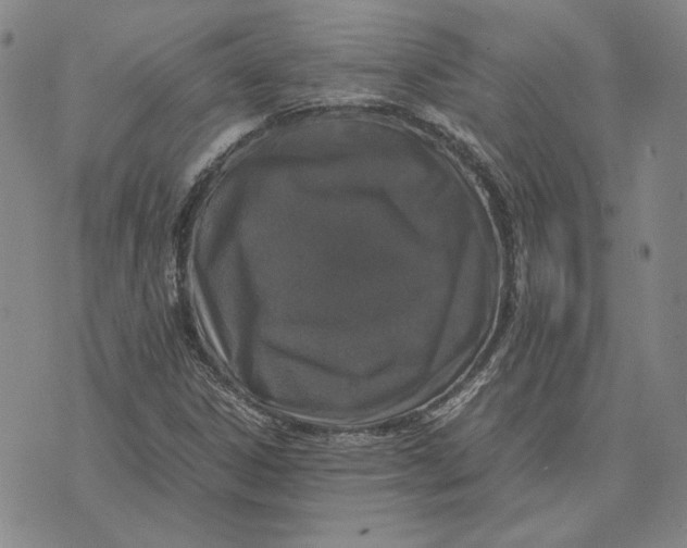 X0000070351306200606301755