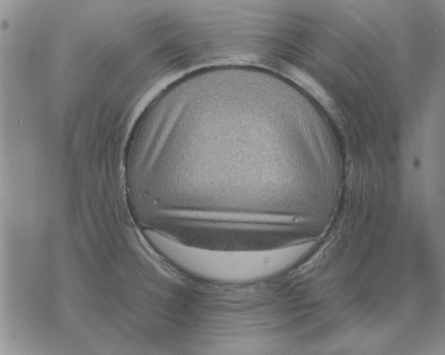 X0000070351332200606301756