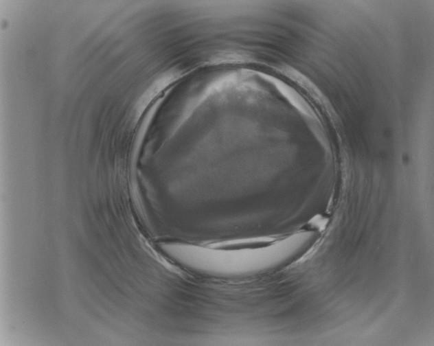 X0000070351337200606301756