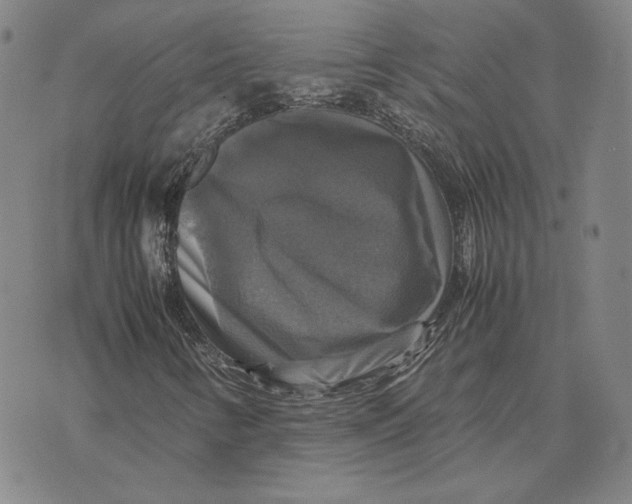 X0000070351346200606301755