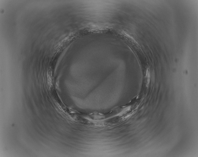 X0000070351348200606301755