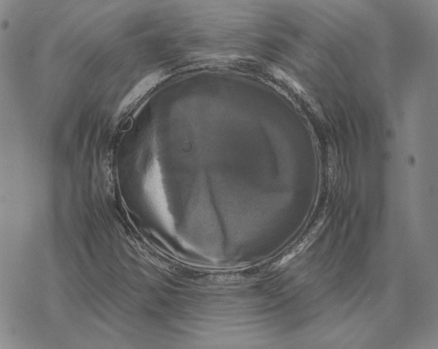X0000070351354200606301755