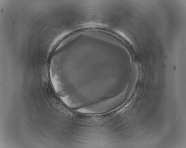 X0000070351358200606301755