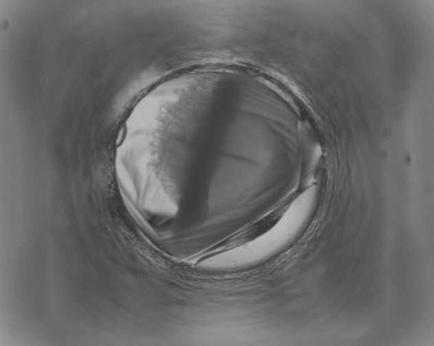 X0000070351359200606301755