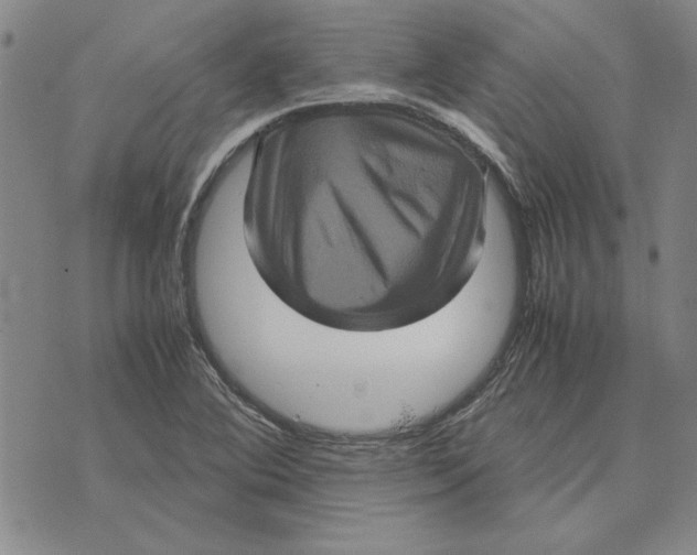 X0000070351364200606301755