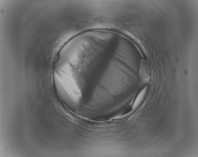 X0000070351367200606301755