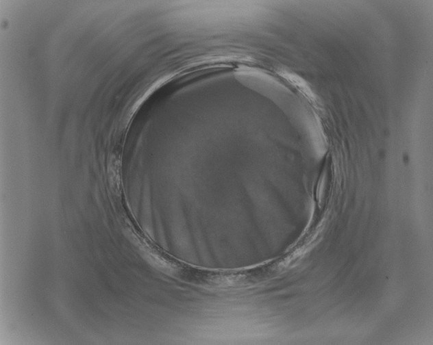 X0000070351369200606301755