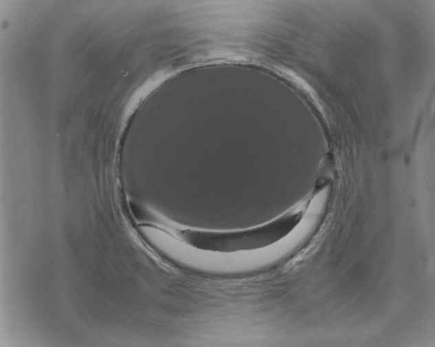 X0000070351373200606301755