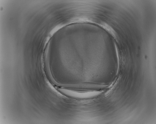 X0000070351382200606301755