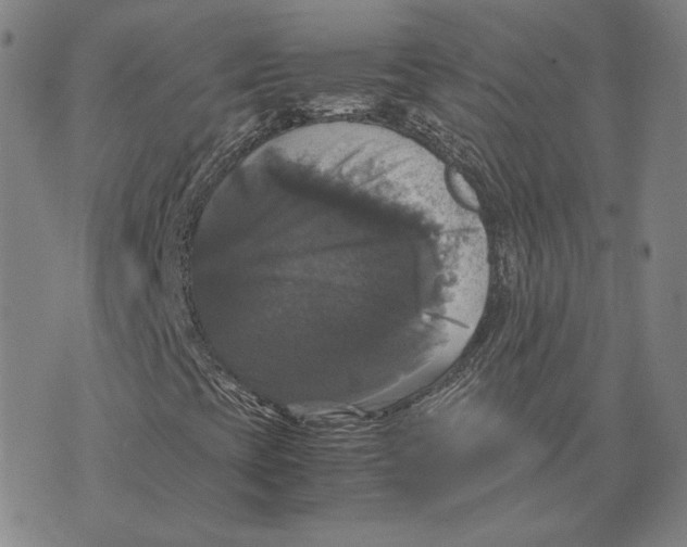 X0000070351393200606301754