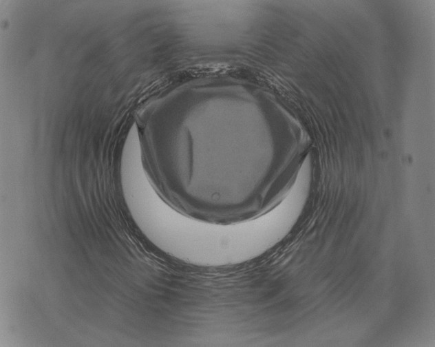X0000070351394200606301754