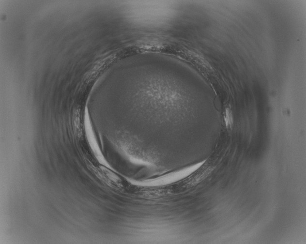 X0000070351396200606301754