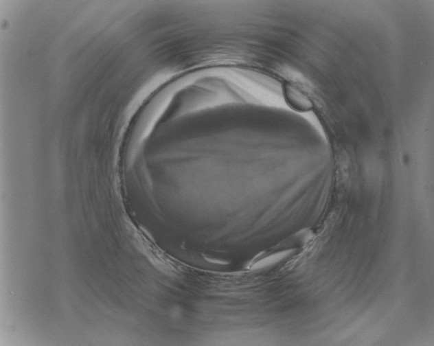 X0000070351427200606301754