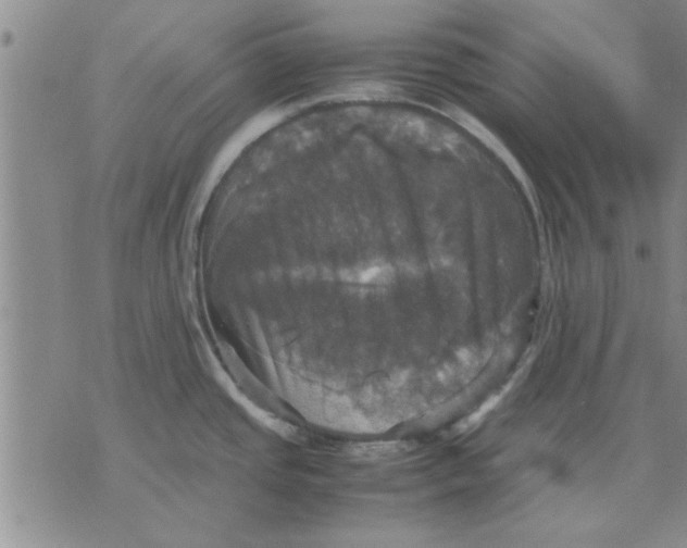 X0000070351437200606301755