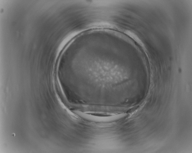 X0000070351440200606301755