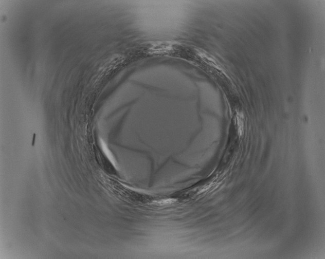X0000070351441200606301754