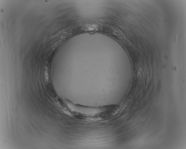 X0000070351442200606301754