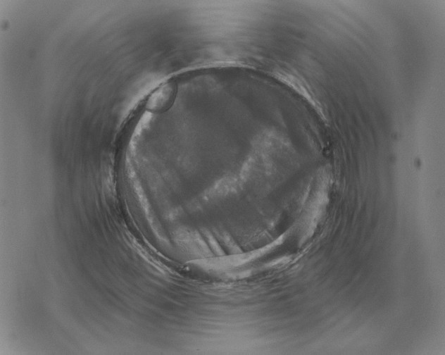 X0000070351452200606301754